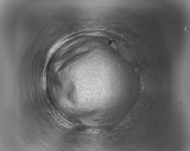 X0000085730294200703301409