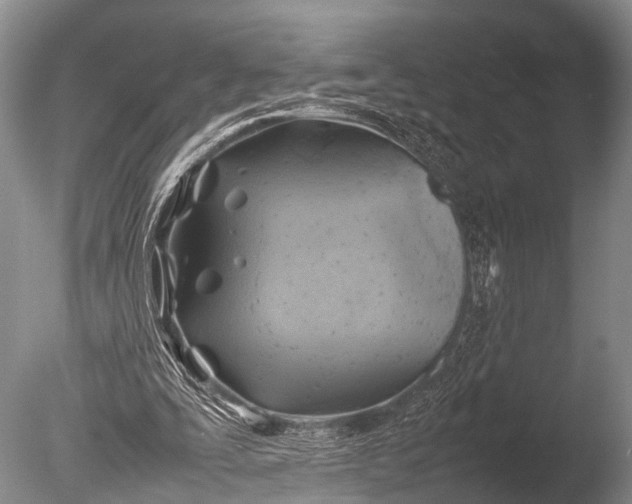 X0000085730295200703301409