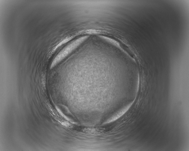 X0000085730297200703301409