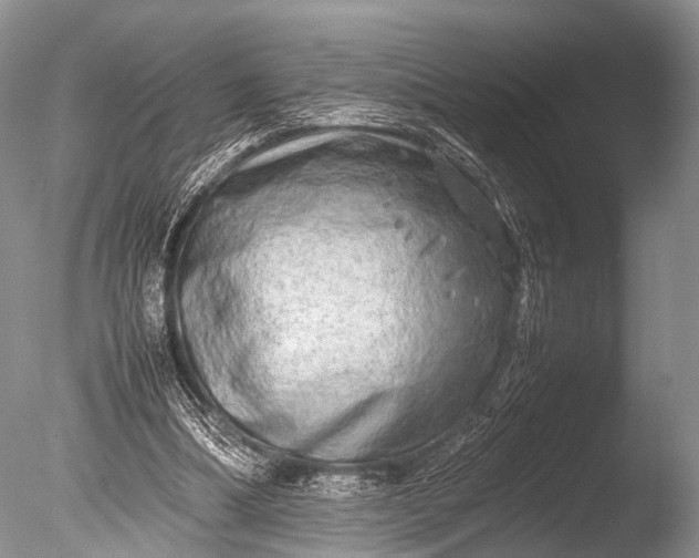 X0000085730298200703301409