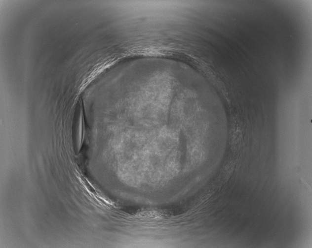 X0000085730299200703301409