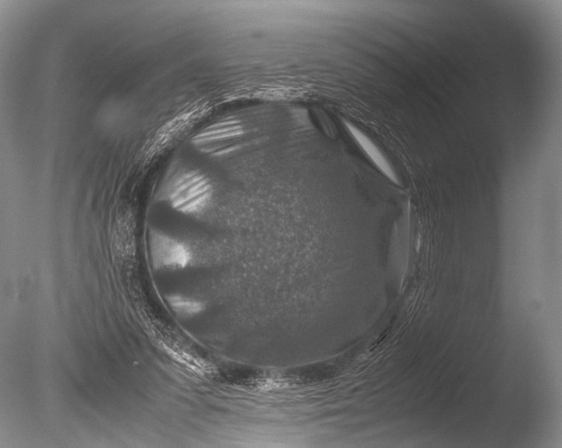 X0000085730303200703301409