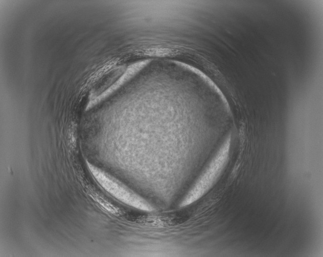 X0000085730305200703301409