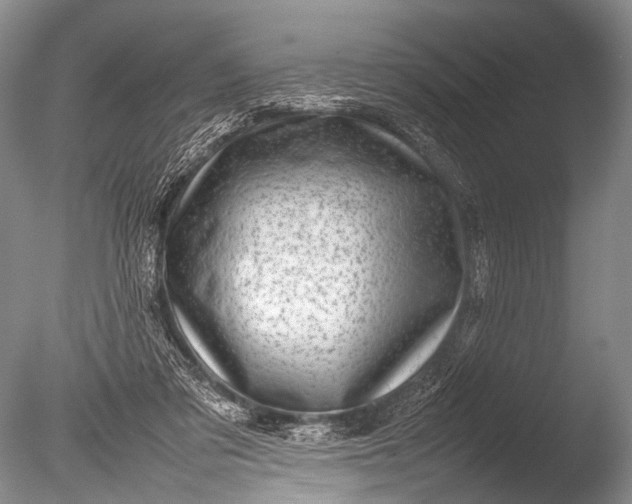 X0000085730309200703301408