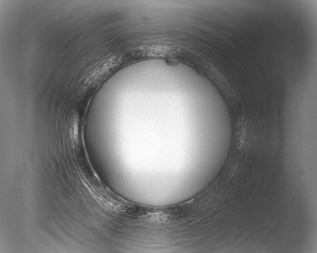 X0000085730310200703301408