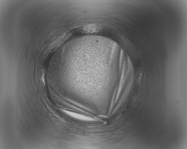 X0000085730315200703301408