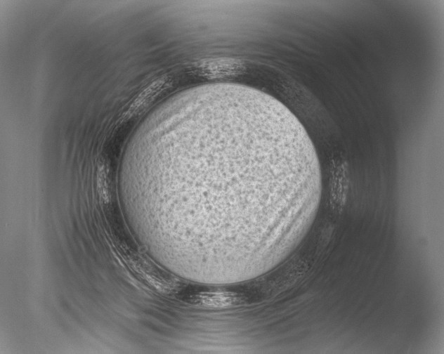 X0000085730316200703301408