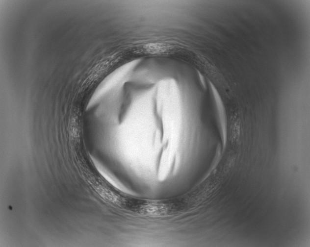 X0000085730317200703301408