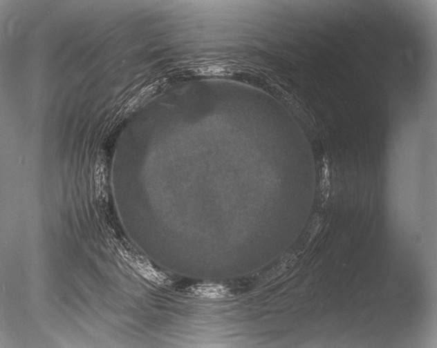 X0000085730322200703301408