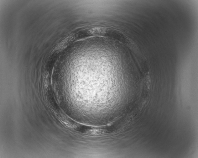 X0000085730323200703301408