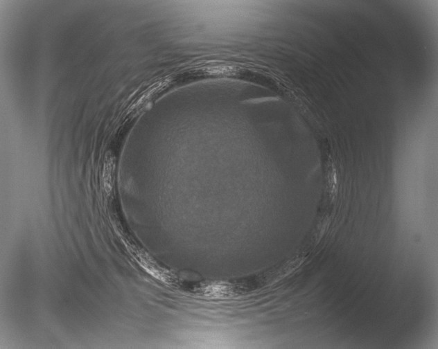 X0000085730325200703301408