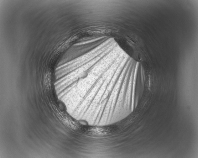 X0000085730326200703301408