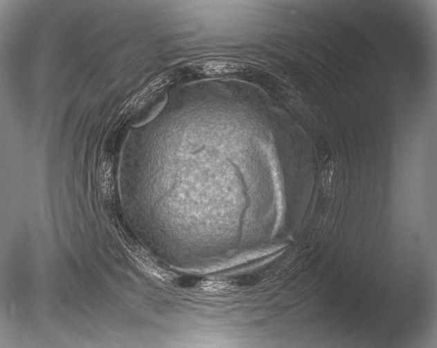 X0000085730327200703301408