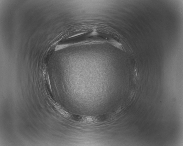 X0000085730329200703301408