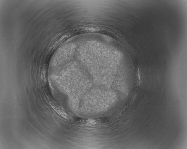 X0000085730330200703301408