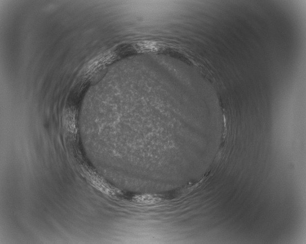 X0000085730331200703301408