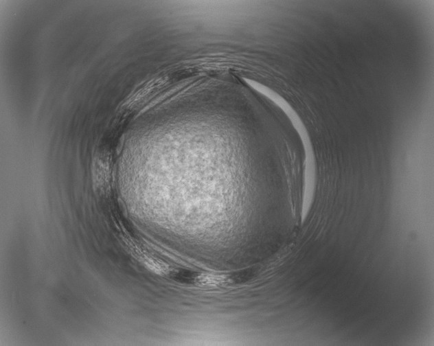 X0000085730333200703301408