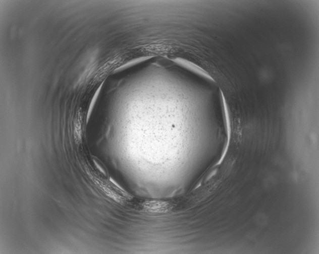 X0000085730334200703301408