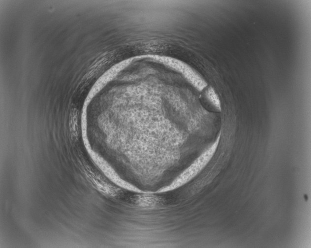 X0000085730336200703301408