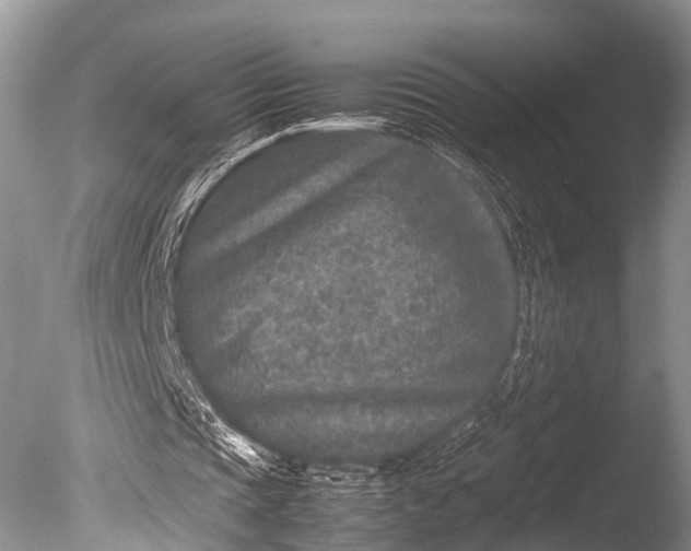 X0000085730337200703301407