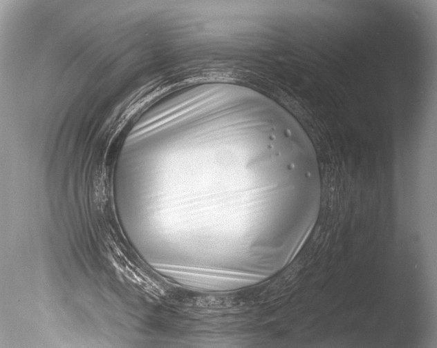 X0000085730338200703301407