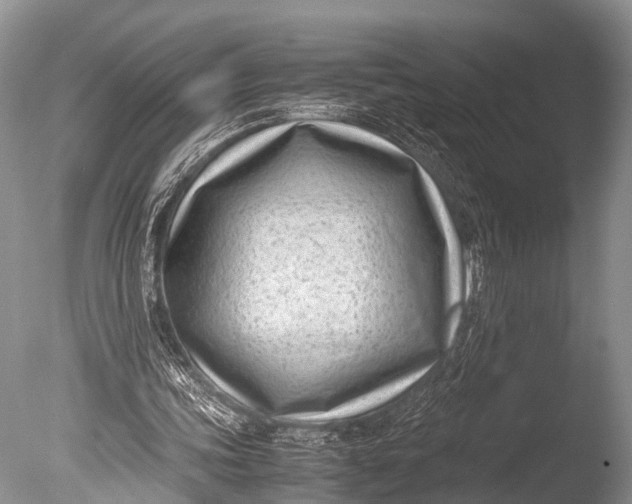 X0000085730339200703301407