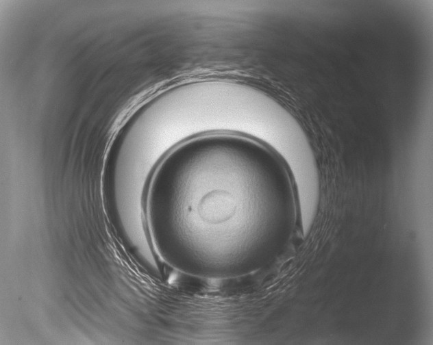 X0000085730340200703301407