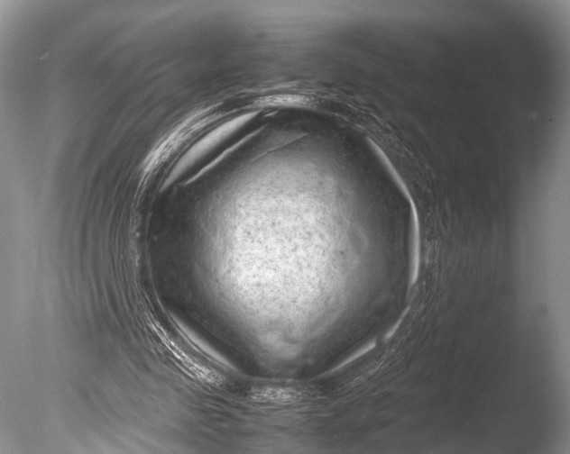 X0000085730341200703301407