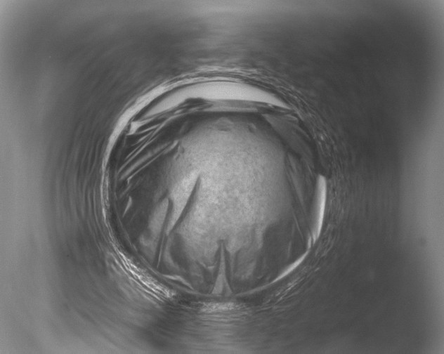 X0000085730342200703301407