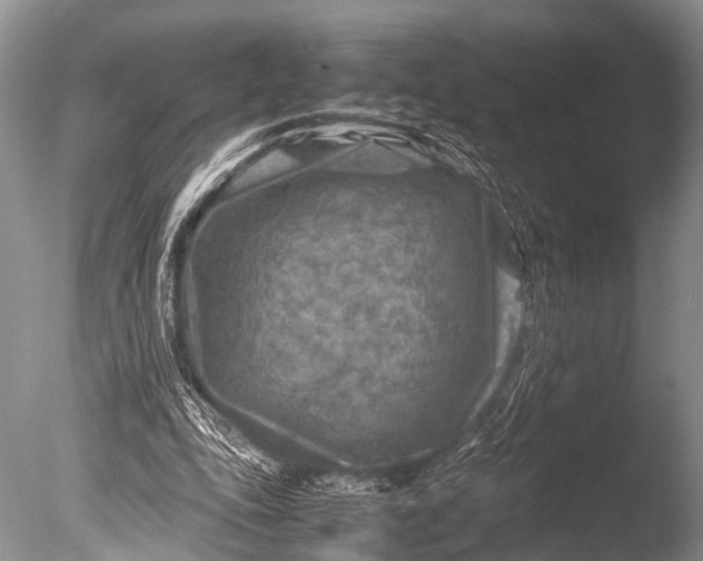 X0000085730343200703301407