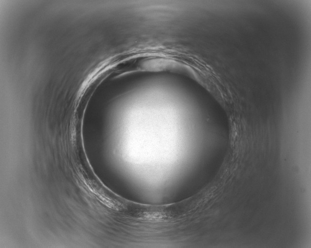 X0000085730344200703301407