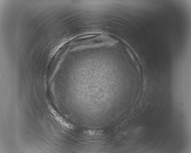 X0000085730345200703301407