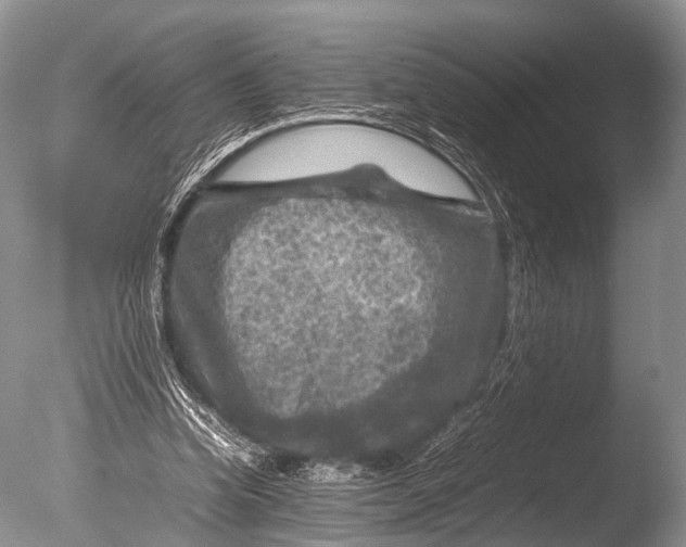 X0000085730346200703301407