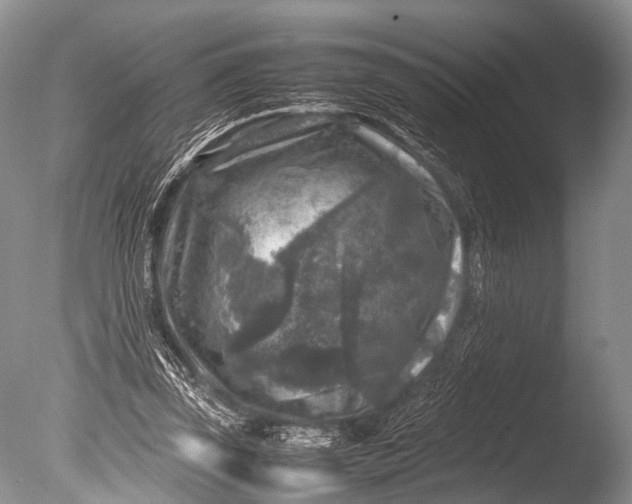 X0000085730347200703301407