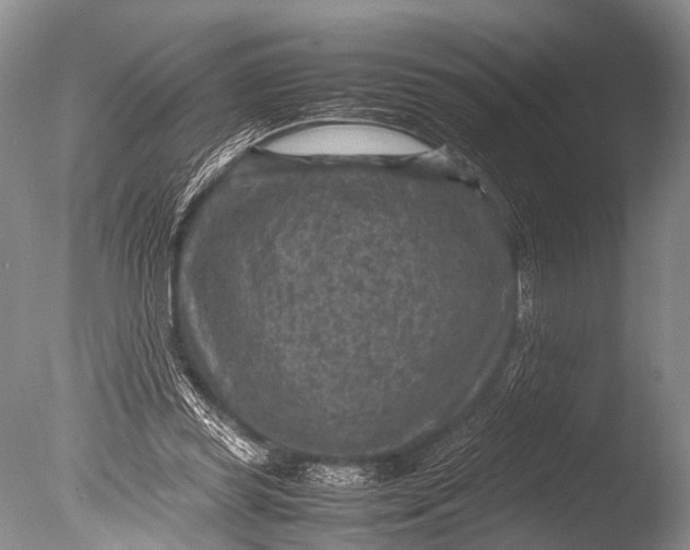 X0000085730349200703301407