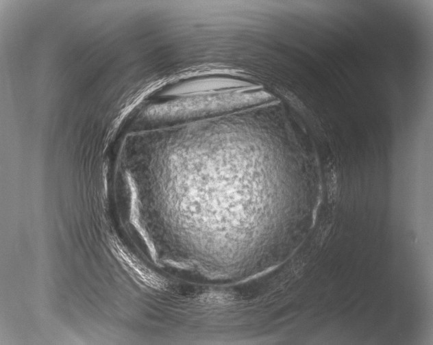 X0000085730350200703301407