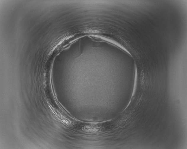 X0000085730351200703301407