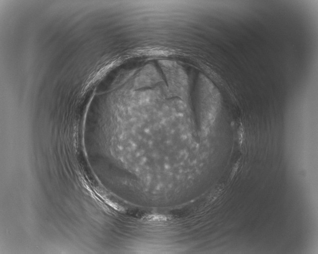 X0000085730352200703301407