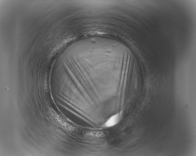 X0000085730353200703301407