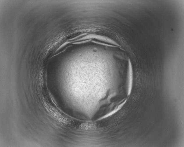 X0000085730354200703301407