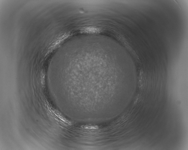 X0000085730355200703301407