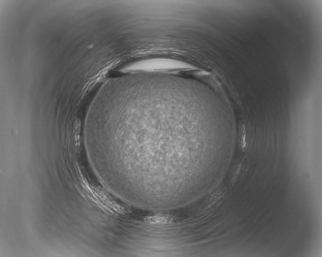 X0000085730356200703301408