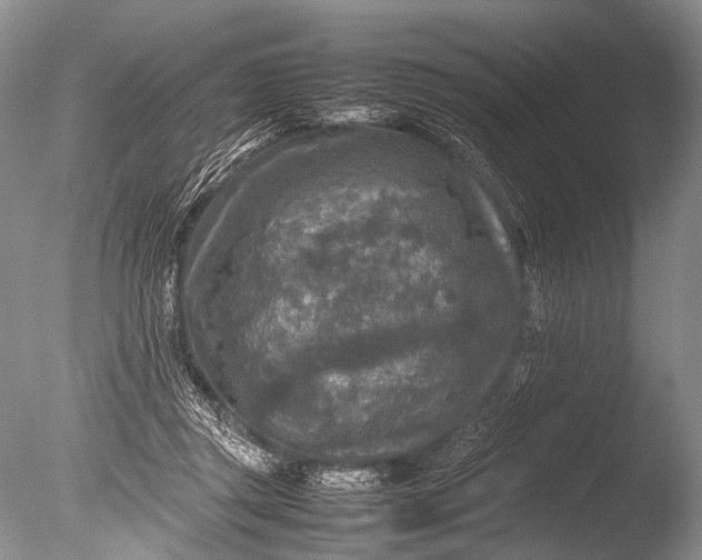 X0000085730357200703301408