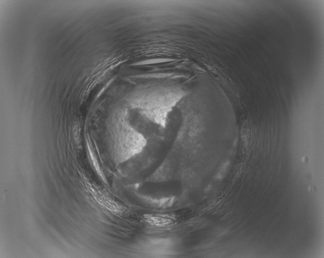 X0000085730359200703301408