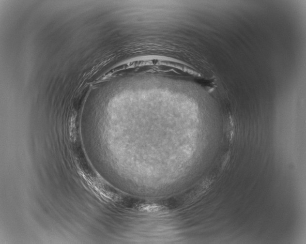 X0000085730360200703301408