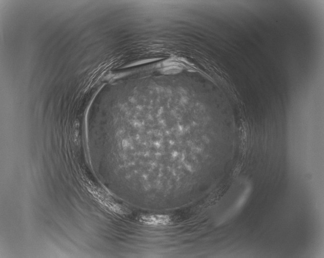 X0000085730361200703301408