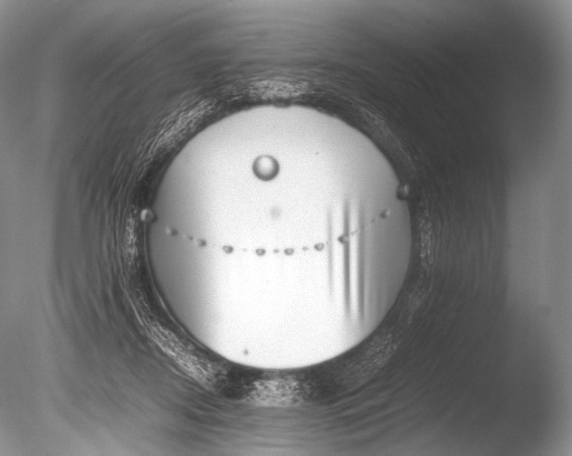 X0000085730362200703301408