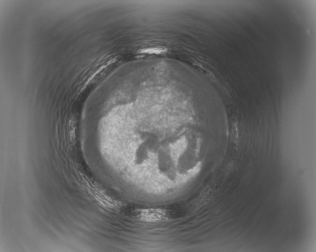 X0000085730363200703301408