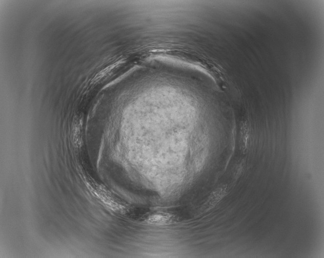 X0000085730364200703301408