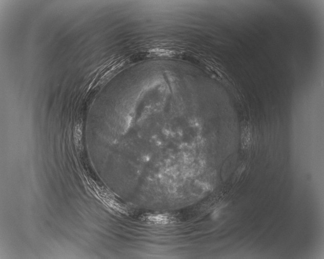 X0000085730365200703301408